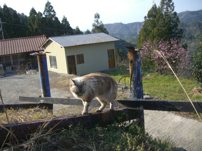 美郷写真⑲ 092